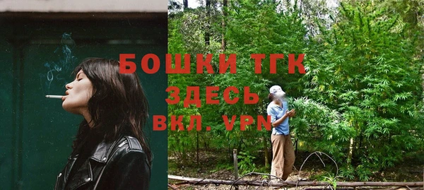 a pvp Гусь-Хрустальный