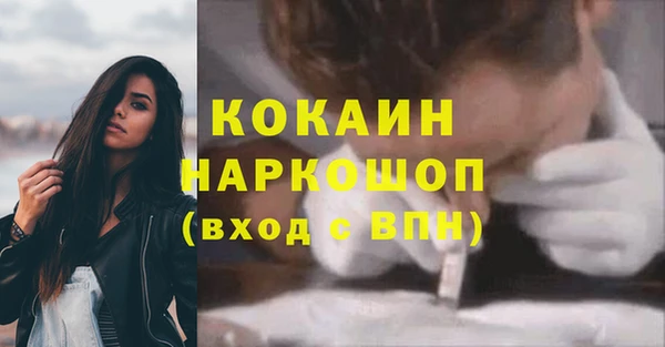 2c-b Гусев